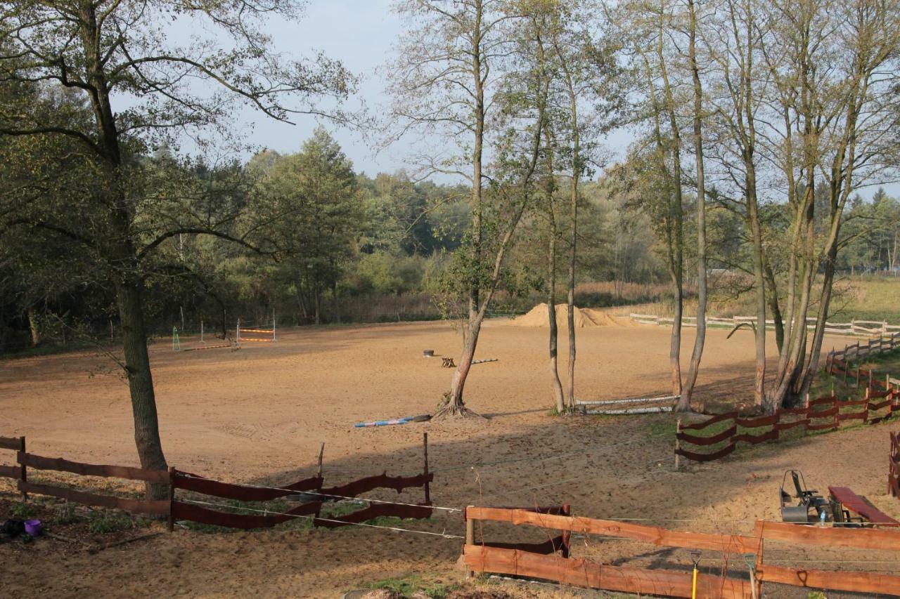 Quatro Osrodek Jezdziecki - Gospodarstwo Agroturystyczne Pobiedziska Exterior foto